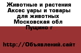 Животные и растения Аксесcуары и товары для животных. Московская обл.,Пущино г.